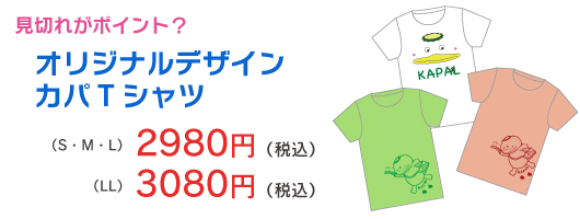 オリジナルデザインT　2980 円