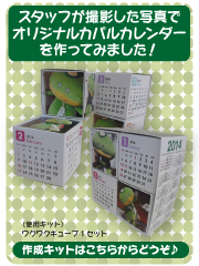 ワクワクキューブ